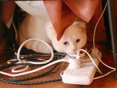 -251#coffee roasters(沿河东路店)