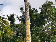 -海南槟榔谷黎苗文化旅游区
