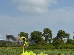 -春花秋色城市公园