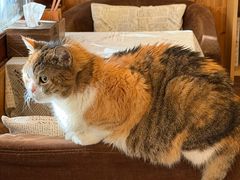 -隅cafe(傅厚岗店)