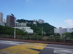 -大埔公路-马料水段香港中文大学(公交站)