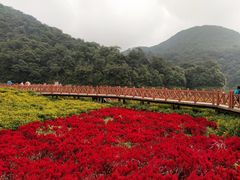 -广州市石门国家森林公园
