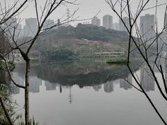 -重庆彩云湖湿地公园