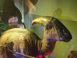 -恐龙探索乐园(磁器口店)