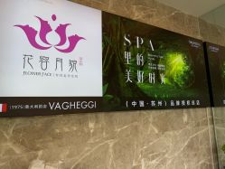 点击看大图 -阅年轻·AI家庭健康体质调理