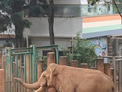 -昆明动物园