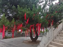 -终南山南五台景区