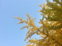 -辽宁大学(崇山校区)
