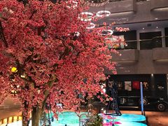-上海银星皇冠假日酒店