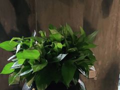 -新盈光·旗舰店(海曙苍松路店)