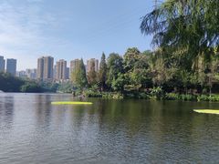 -重庆彩云湖湿地公园