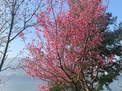 -阳宗海湿地