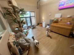 -唐小姐の私宠·宠物洗护美容·撸猫馆·购宠(周浦万达旗舰店)