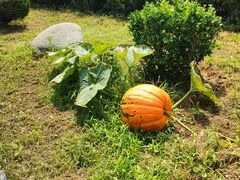 -清风小镇闯关东影视基地