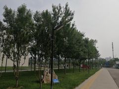 -首都医科大学附属北京天坛医院