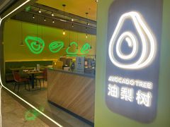 -油梨树AVOCADO TREE(望京店)