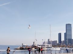 -东港音乐喷泉广场