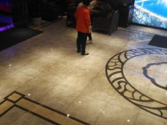 -重庆两江夜游-金碧系列
