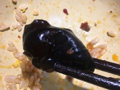 -蛙麻蛙辣炭火蛙锅(南环大街店)