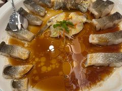 -鲁宴·鲁煨黄河生态大鲤鱼(月坛店)