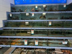 -锐记美食店·现捞海鲜(闸坡店)