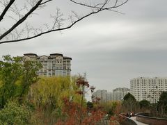 -昆山城市生态森林公园