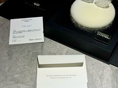 -BLACKSWAN黑天鹅(环球店)
