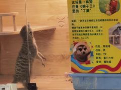 -平行世界·猫咖(首经贸店)