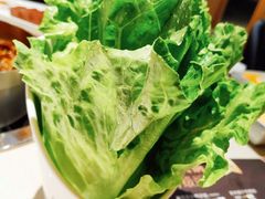 -浩爷羊蝎子火锅(望京店)