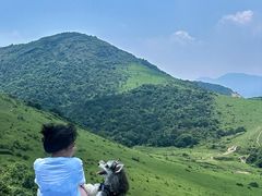 -大姆山草场