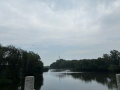 -溱湖国家湿地公园