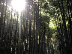 -九龙潭景区