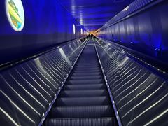 -白鹤梁水下博物馆