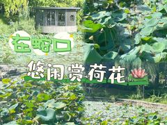 -四海公园(南山区)