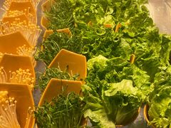 -海底捞大排档火锅(悦荟广场店)