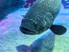 -沈阳海洋探索中心