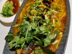 招牌跳水鱼-小河盐帮·私家菜·烤鸭(三元桥·霄云路店)