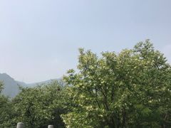 -阳台山自然风景区