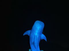 -珠海长隆海洋王国