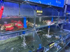 水产区-蟹老板的海鲜