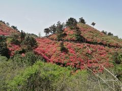 -木兰云雾山