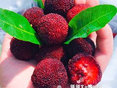 -花果山生鲜超市(浑河湾店)