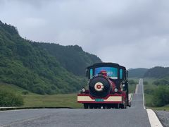 -武陵山森林公园