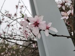 -潜龙渠公园