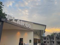 -PLAN CO