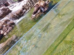 -杭州长乔极地海洋公园