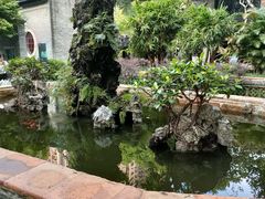 -顺峰山公园