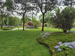 -眉山湿地公园(东坡区)