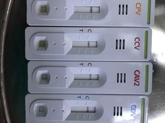 -瑞鹏宠物医院·微创内窥镜·骨外科·牙科(翠竹分院)