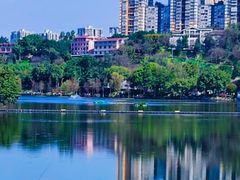 -重庆彩云湖湿地公园